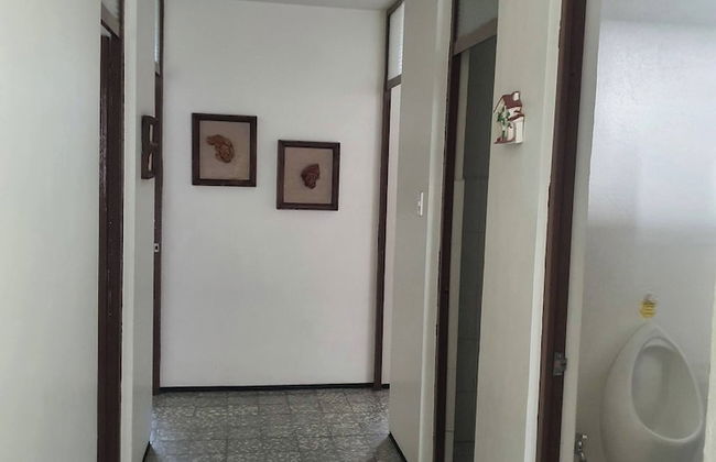 Audiozon, 2 Cuadra Catedral - Foto 4