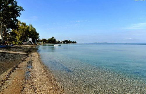 xanthi's sea front villas - Foto 8