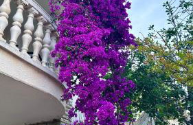 Apartments Adria - Foto 9