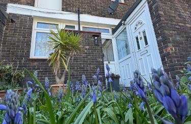 The Comfort House - Foto 10