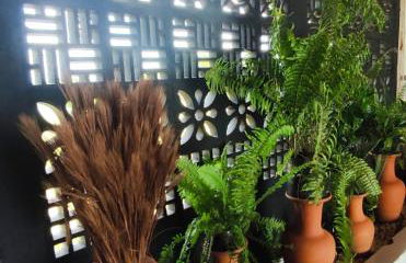 Casa com Piscina em Meio à Natureza - Foto 3