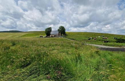 La ferme de Jouane - Photo 14
