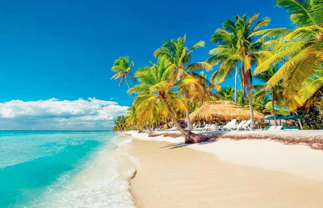 Excursão à ilha Saona de catamarã - Foto 2