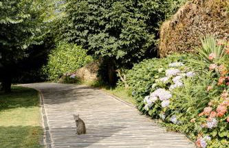 Casa das Nogueiras - Foto 46