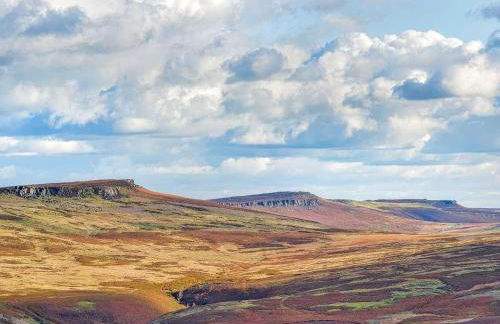 Pine Door - Photo 28