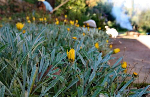 Villa Kardami -country house - Foto 60