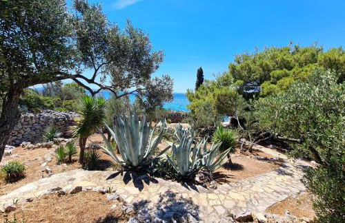 Orkula Hidden Paradise- Robinson Holiday House - Foto 4