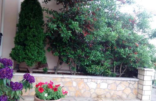 Chrysandra - Foto 29