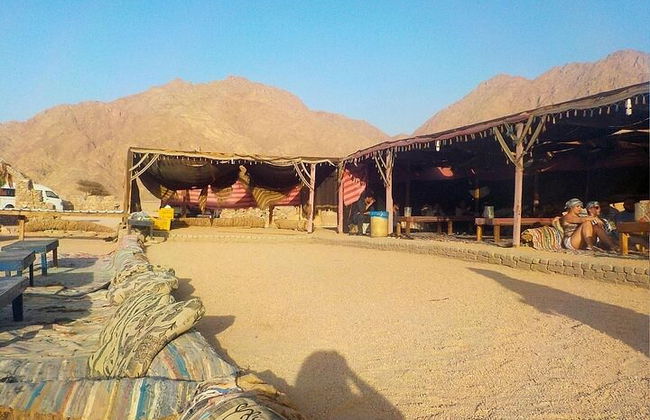 Marsa Alam: experiência em quadriciclo de 3 horas com passeio de camelo - Foto 5