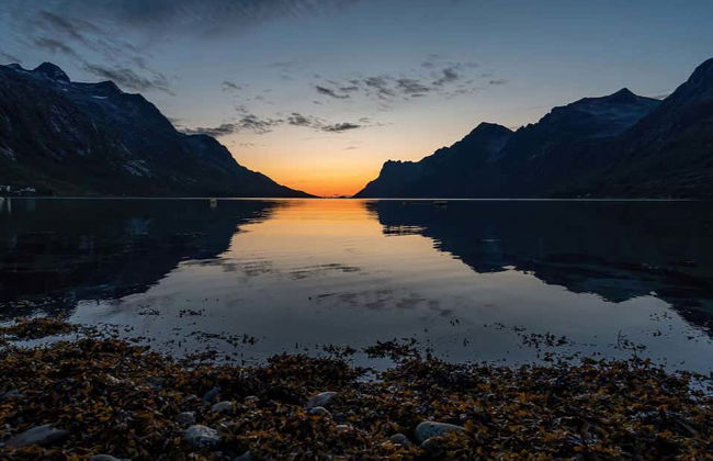 Excursão ao fiorde e ilha de Kvaløya - Foto 4