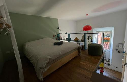 il giardino di frida - Foto 8