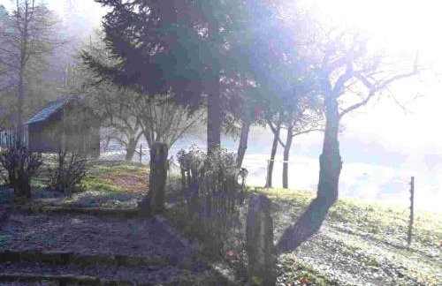 Ferienhaus Schwarzwald Seewald Erzgrube Badesee 100% Natur - Foto 13