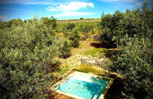 Quinta dos Piscos - Foto 77