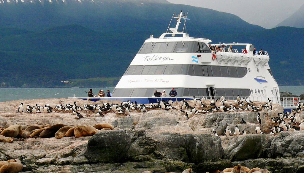 Paseo en catamarán por la pingüinera - Foto 1