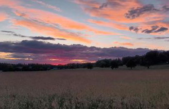 Waitzdorfer Landhaus Pieper - Foto 26