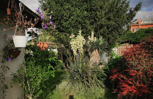 Il Ciliegio Holiday Apartment With Garden - Foto 17