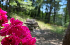 Woods Etna Chalet - Foto 56