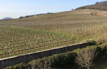 Beck Domaine du Rempart - Foto 21