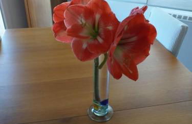 Casa Jose y María - Foto 25