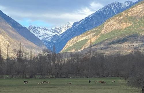 CHECK-IN CASAS Cumbre de Benasque - Photo 33