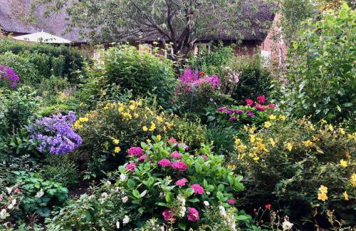 Haubarg alte Strandvogtei - Foto 3