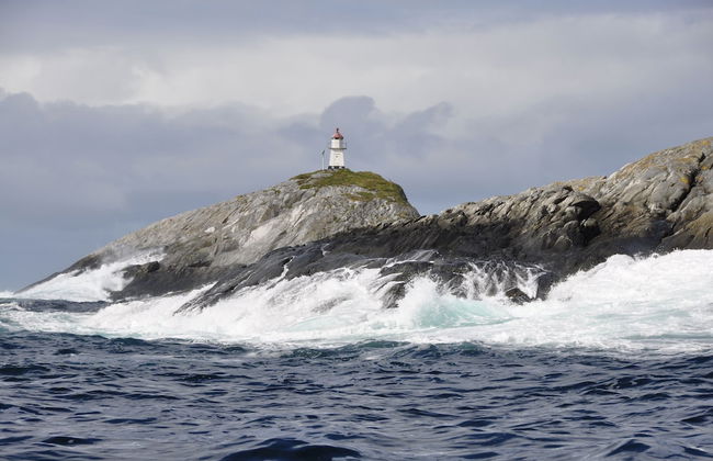 Sotra Rorbusenter - Foto 69