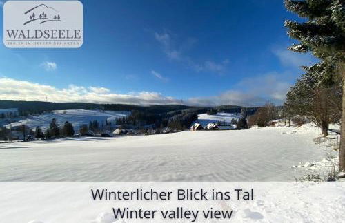 Exklusives 5-Sterne Apartment Waldseele mit Indoor-Pool, Sauna, top Lage und Ausblick in die Natur, Hunde willkommen - Foto 40