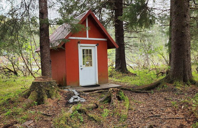 Bear Necessities Cottages - Foto 31