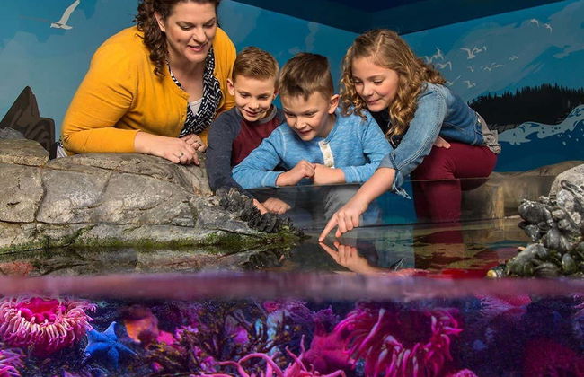 Billet pour SEA LIFE® Orlando - Photo 8