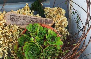 Alb-Biosphäre-Ferienwohnung - Foto 1