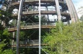 Apartment, 2 bedrooms, kitchen+2 bathrooms - Photo 33