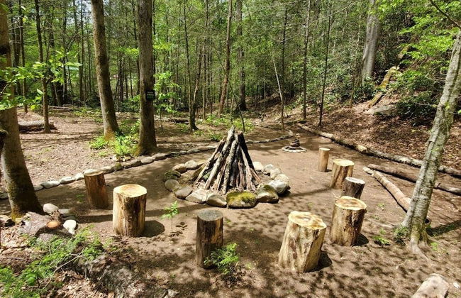 Elk Run On Cosby Creek - 2 Bedrooms, 2 Baths, Sleeps 7 Cabin by RedAwning - Foto 41