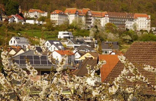 Ferienwohnung Wolff, Kelkheim - Foto 41