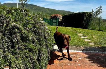 Il Villino del Daino - Toscana - Foto 43