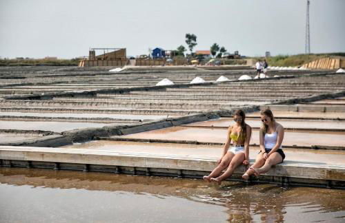 Bird’s Home - Foto 70