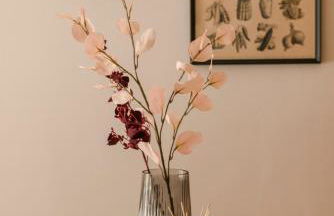 Cavaliere Seafront House - Theseus - Foto 6