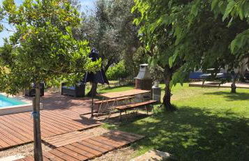 Monte das Aranhas - Foto 31