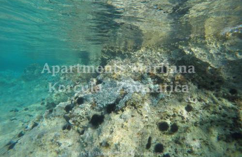 Apartments Marijana - Foto 78
