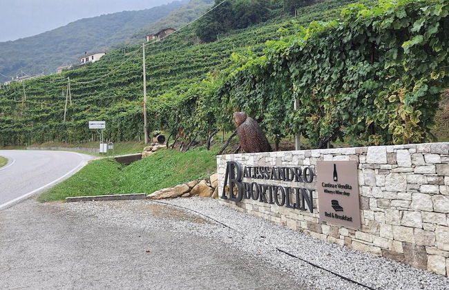 AGRITURISMO B&B CASA BORTOLIN - Foto 23