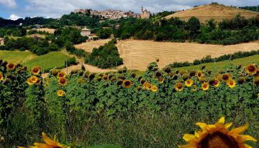 Agriturismo la casa degli amici - Foto 4