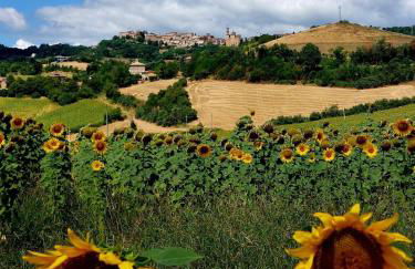 Agriturismo la casa degli amici - Foto 4