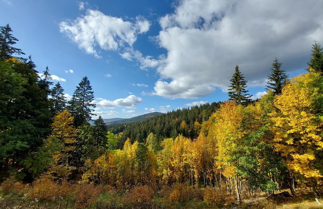 Rokytnice Krm450 in Rokytnice nad Jizerou - Foto 42