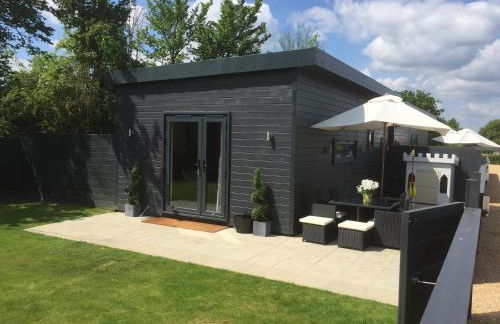 Willow Court Farm Studio West & Petting Farm, 8 mins to Legoland & Windsor, 15 mins to Lapland UK - Foto 2