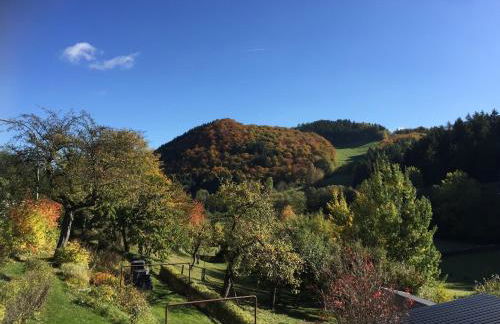 Charmantes Ferienhaus in Deifeld - Foto 57