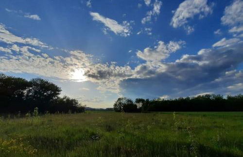 Gite de la Salamandre aan de rivier de Cher vlakbij Zoo de Beauval - Foto 16