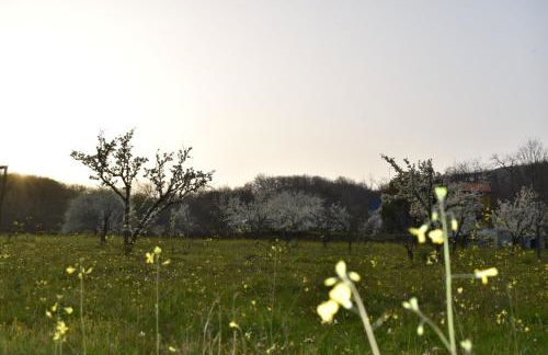 CR familiar PrimaVera Jarandilla de la Vera - Foto 28