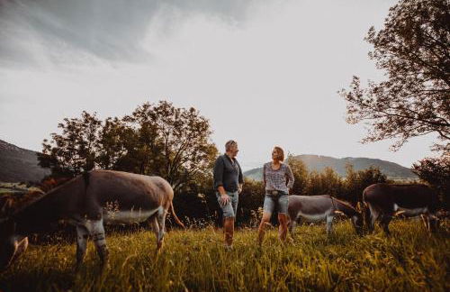 Babel´s Auszeit - Foto 69