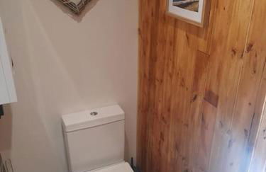 Anglesey new modern shepherds hut with spa hot tub - Foto 29