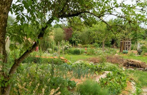 Ferienwohnung am Schmiedhof - Foto 12