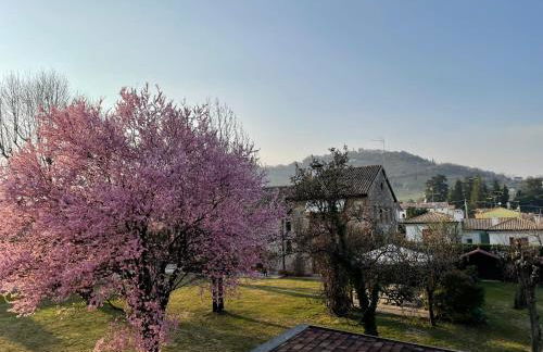 Casa Gina & Jeto - Foto 32